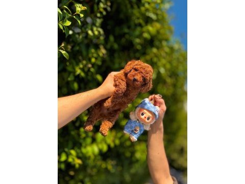 Toy bebeklerimiz ziyarete açık 