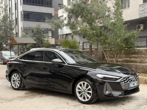 Full artı full evcil konuşan jako papağanı
