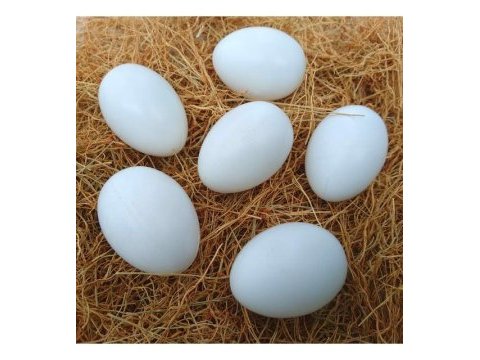 Organik yumurta