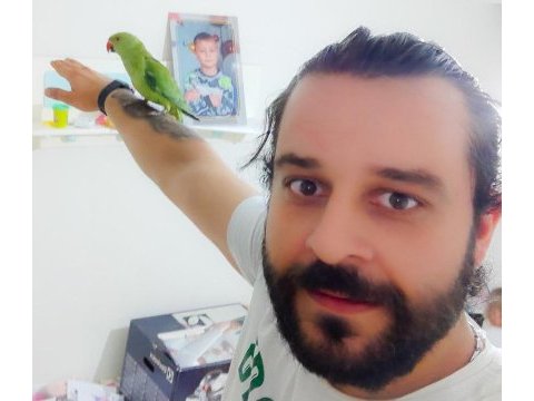Yavru pakistan papağanları