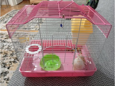 Acil satılık yavru hamster