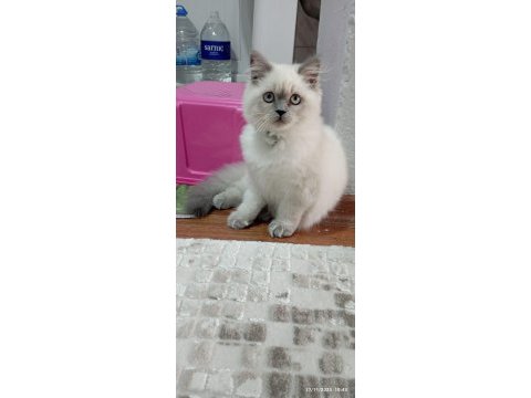4 aylık oyun aşığı bebiş