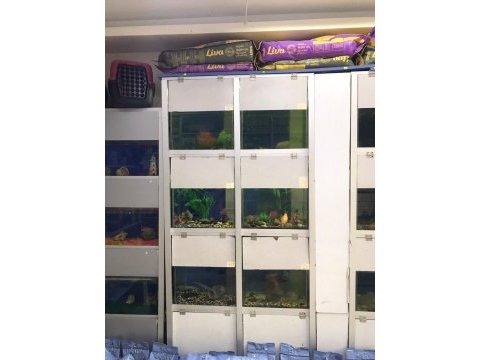 18 gözlü set akvaryum