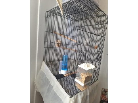 Büyük boy papağan kafesi