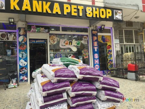 Akvaryum ile ilgili herşey burada