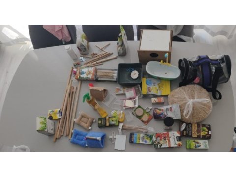 4 adet muhabbet kuşu tüm malzemeleriyle