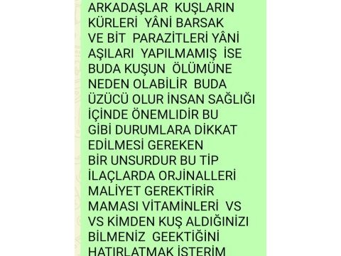 Muhabbet kuşumuz için açiklamalari okuyunuz