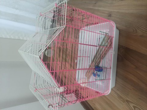 Kafes içindekilerle beraber