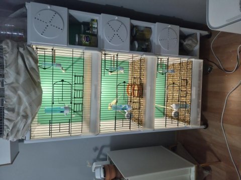 3 katlı pvc kafes fırsat