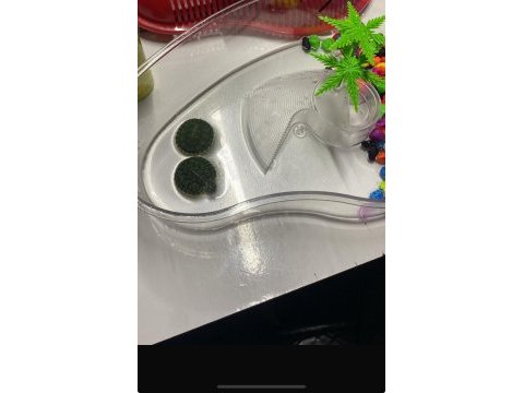 Bebek kaplumbağa antalya aynı gün teslim