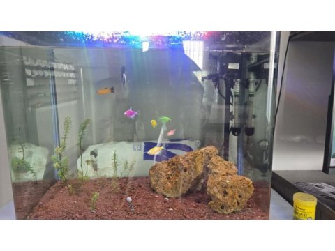 82 litre full ekipman bitkili akvaryum