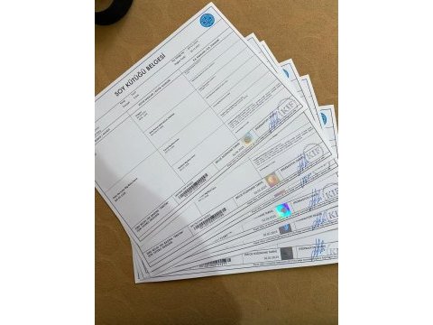 Kaliteli dişi cane yavrular klf fcı a şecere micro chipli