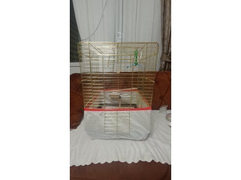 Sultan papağanı yaninda kafes ve 5 kilo yem ve arac gerec