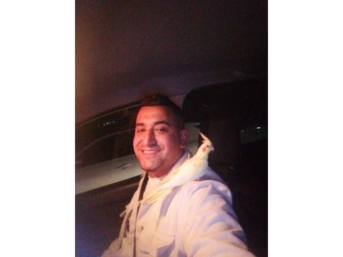 Ev besleme sultan papağanı bebekler