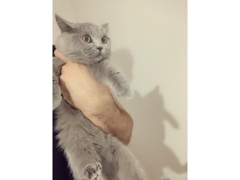 Evden safkan eşsiz yavrularım
