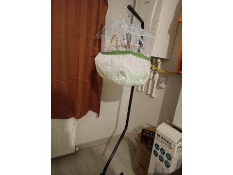 Ele gelen muhabbet kuşu tam set her şeyi ile verilecek