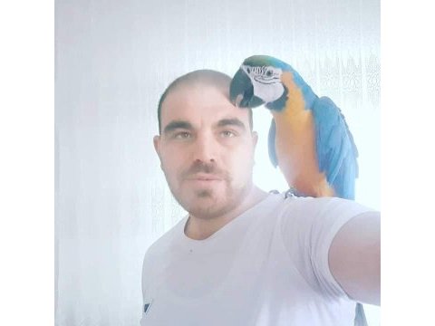 Evin yeni macaw genel müdürü
