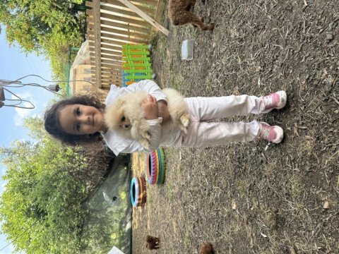 Anne altından pomeranian boo