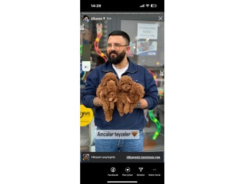 Çağrı çemçemin sizin için seçtiği yavrular 