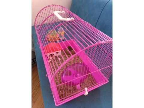 Yavru hamster kafesiyle ve yemiyle