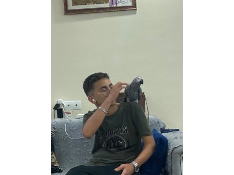 Full evcil jako papağanım ilgilenen yazabilir