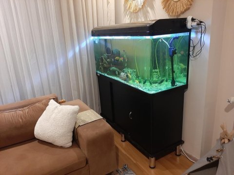 125×50×45 cm mobilyalı ithal akvaryum