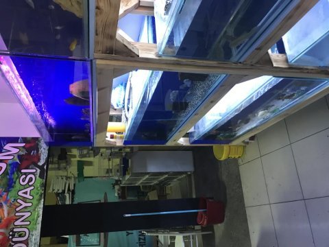 Kaçırılmayacak set akvaryum