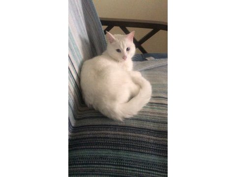 Pamuk için umut olmak istermisin