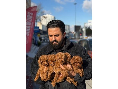 Gercek anne baba gercek toy kalitesi 