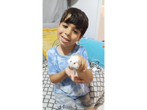 Hamster kendi ürettiğimiz
