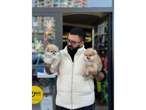 Ankaranın tek pet danışmanlığı 