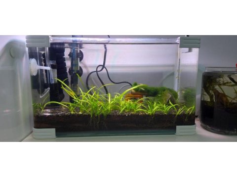 Ultra clear akvaryum tüm set açıklamayı oku