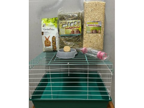 Ginepig yavrularımız gün içi gönderim sağlanmakta