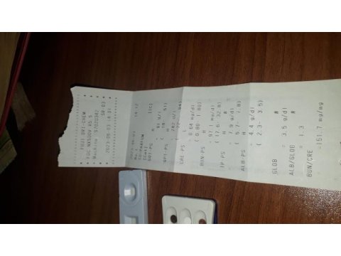 Öğrenci kedisine acil destek lütfen