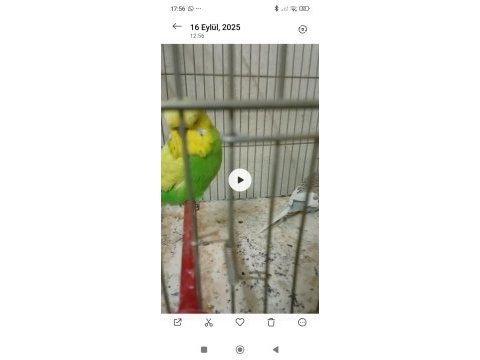Bilgi detay için yazmanız yeterli
