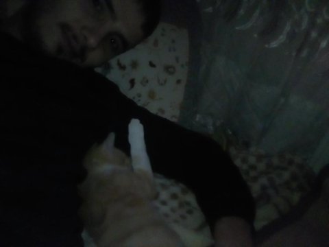 Lütfen bir an önce tekir