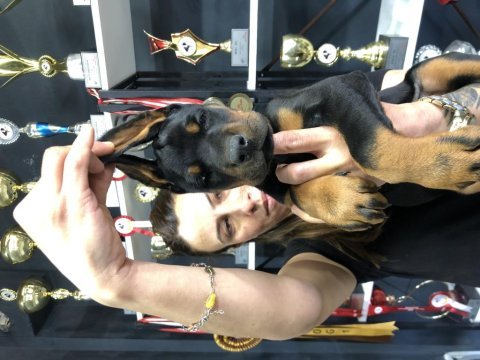 Dünyaca ünlü doberman torunu
