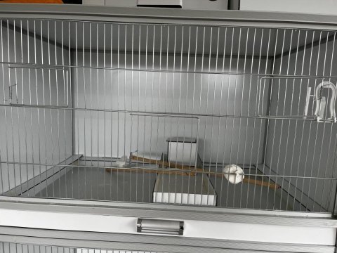 5 kompozit kafes + 2 erkek 1 dişi muhabbet kuşu