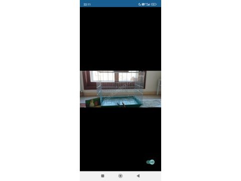 Kuş kafesi + bakım ürünleri