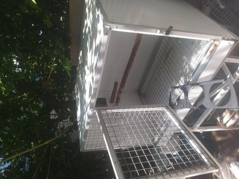 Jako papağanı üretim kafesi ve yuvalık