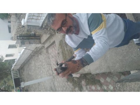 Orjinal kangal buca kaynaklar
