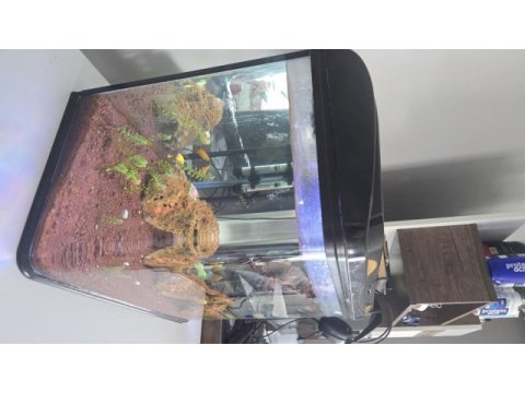 Uyguna 82 litre full ekipman akvaryum