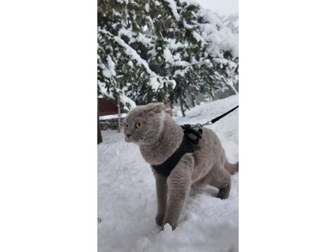 Dünya tatlısı kızımız