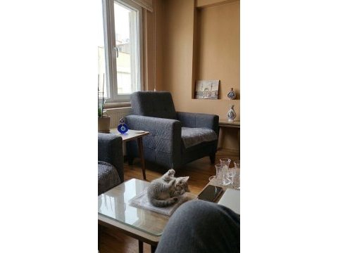 Bakmadan geçmeyin kedilerimize